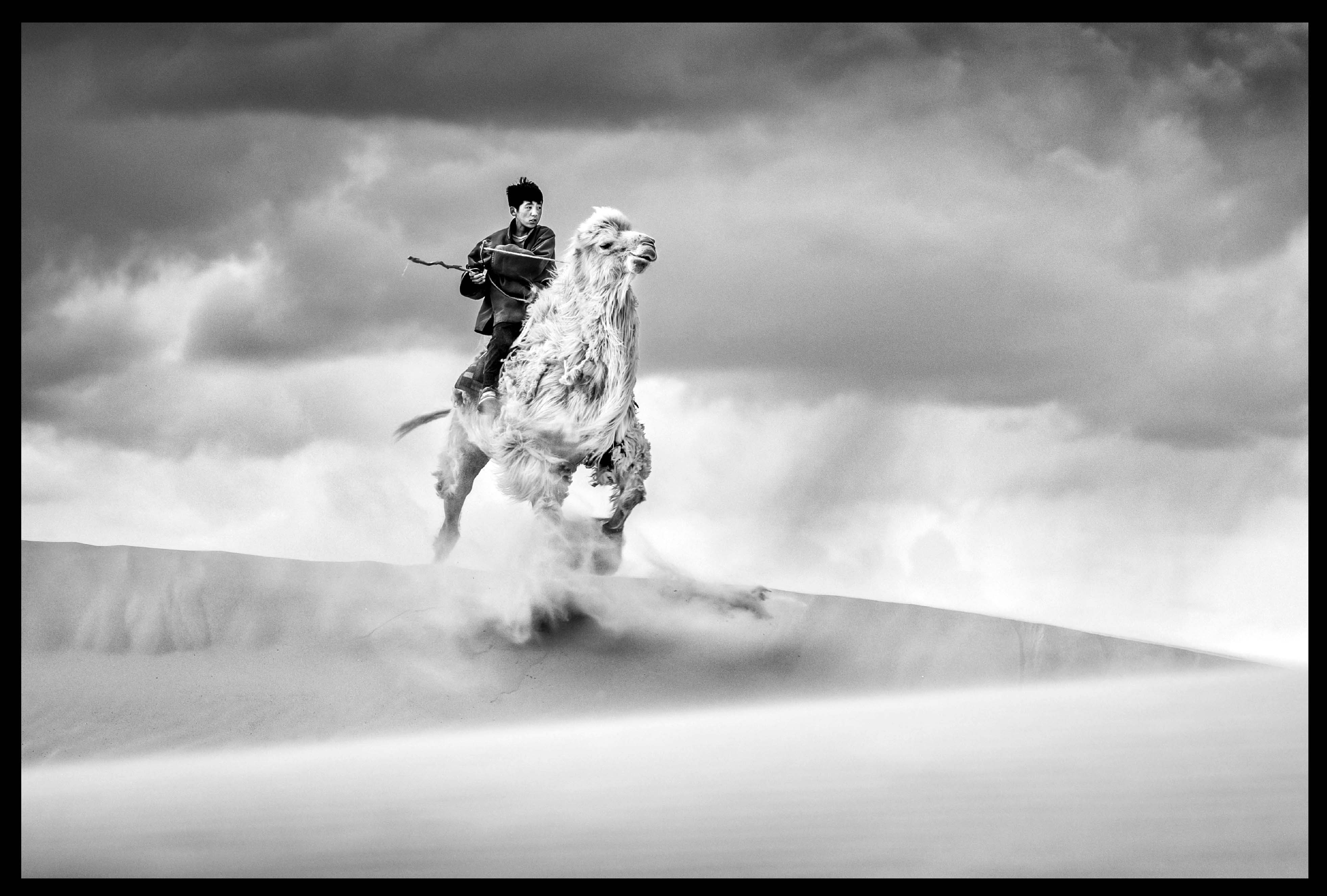 Lawrence mongolia 25show