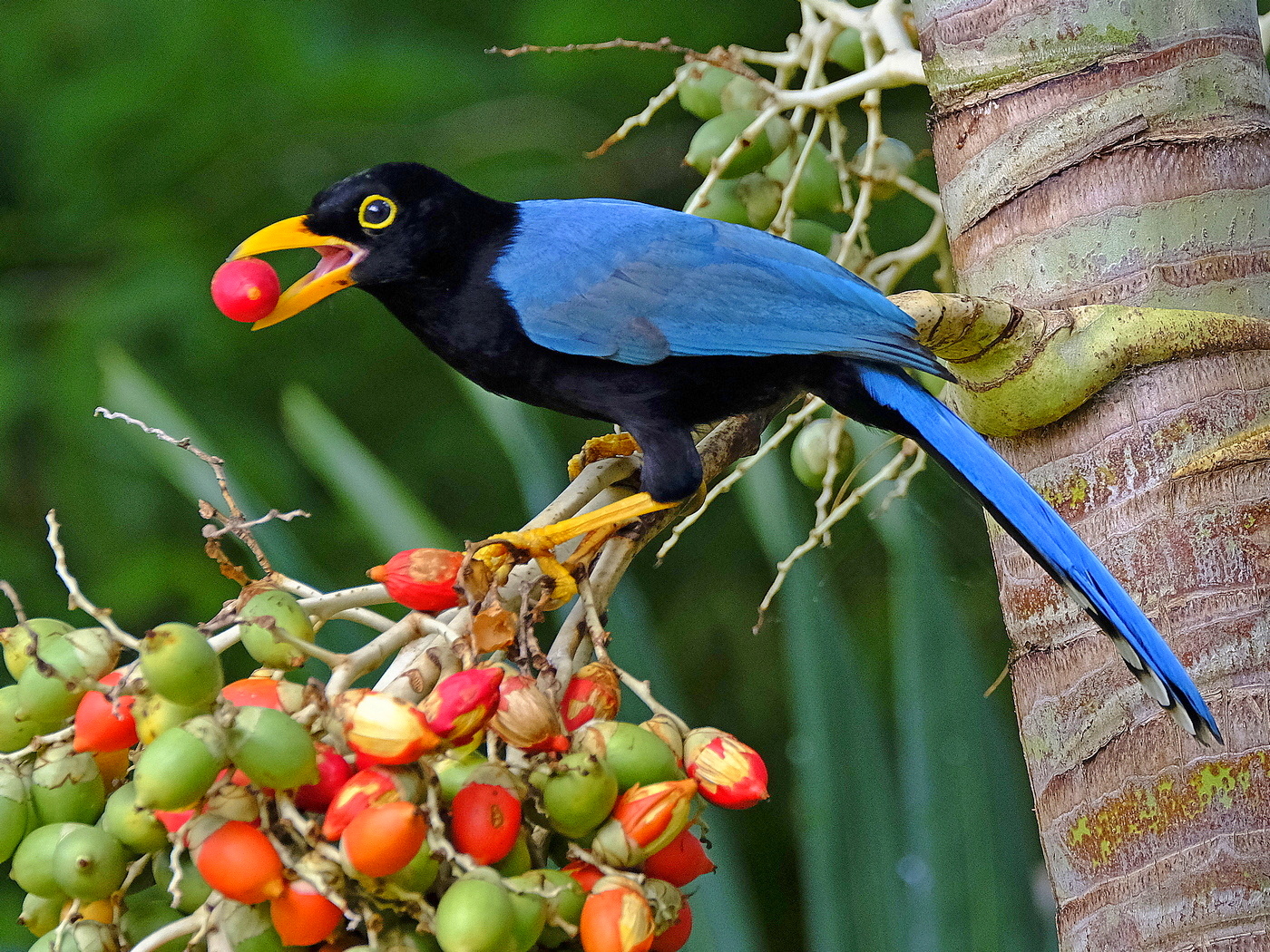 02 LindaRobertsRosen