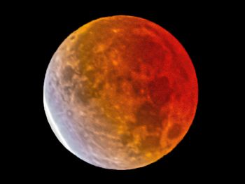 <p><span class="uk-text-bold">Image Credit:</span> Matt Frepp, Lunar Eclipse</p>
