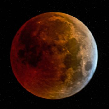 <p><span class="uk-text-bold">Image Credit:</span> Matt Frepp, Lunar Eclipse</p>